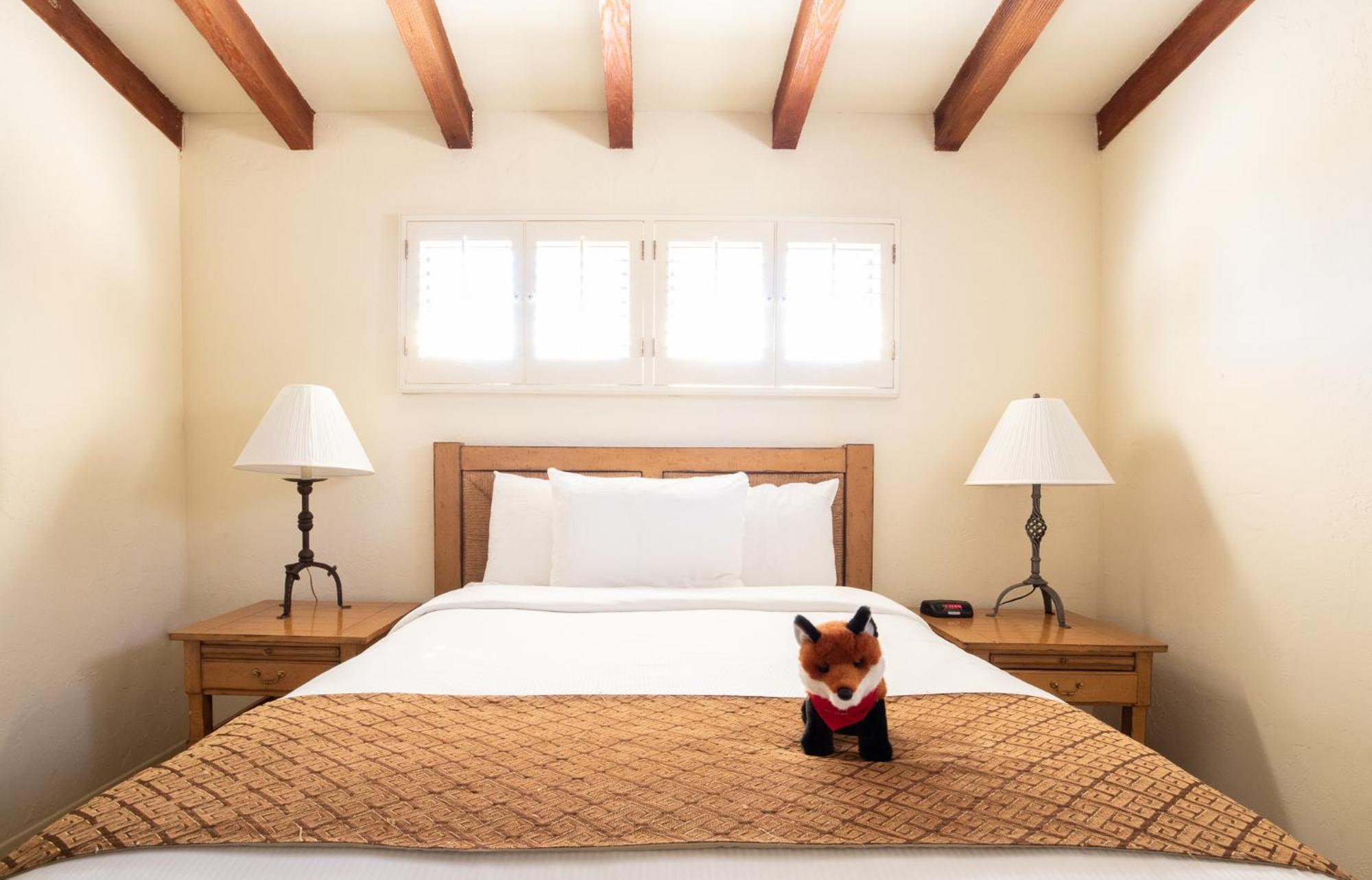 Hotel La Casa del Zorro Borrego Springs Esterno foto